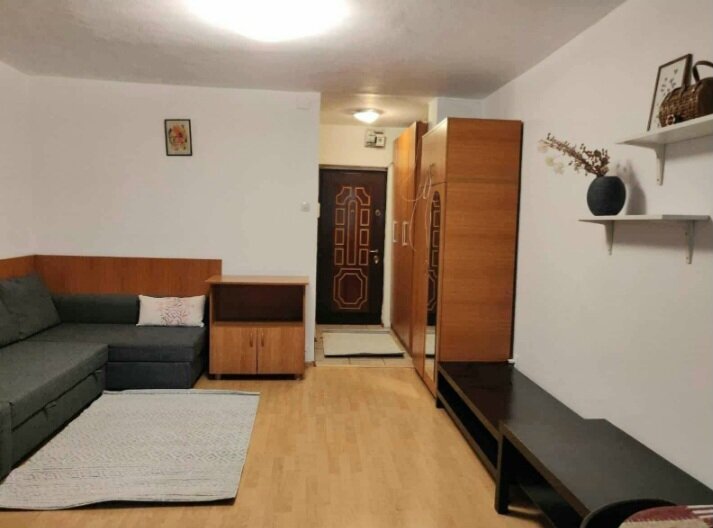 Iancului, Elev Stefanescu